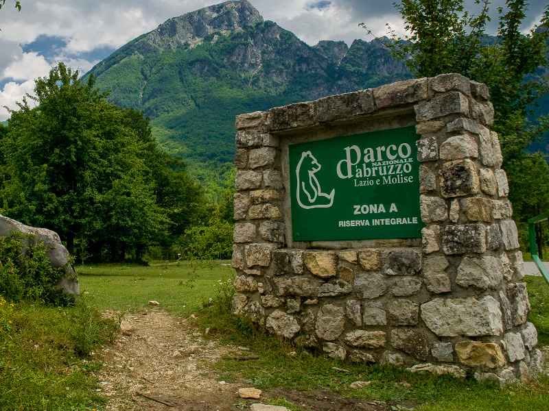 Parco nazionale d'Abruzzo. Paesaggi incantati, tre cervi 'a spasso' nella neve